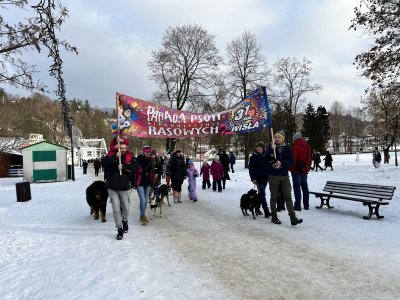 31.Finał WOŚP w Wiśle